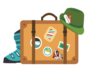 travel luggage 